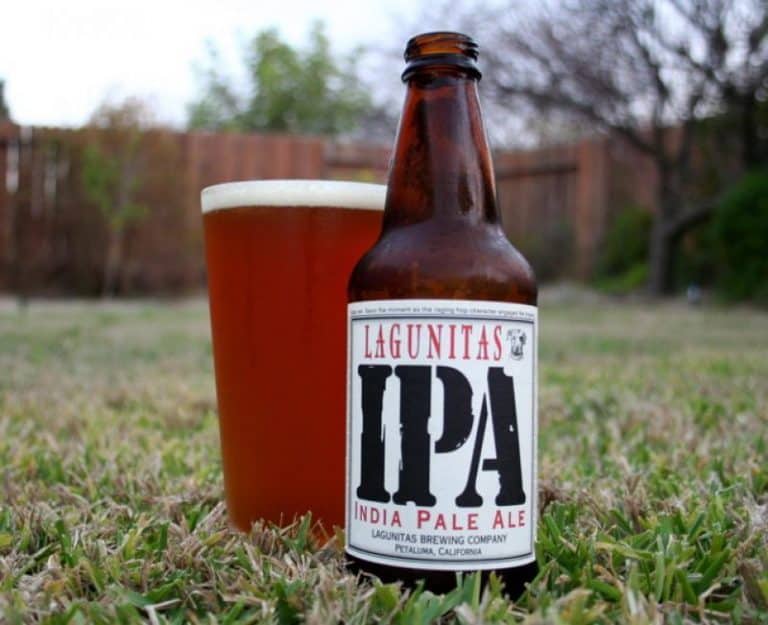 Top 20 IPA Beer Brands You Can Buy from Stores