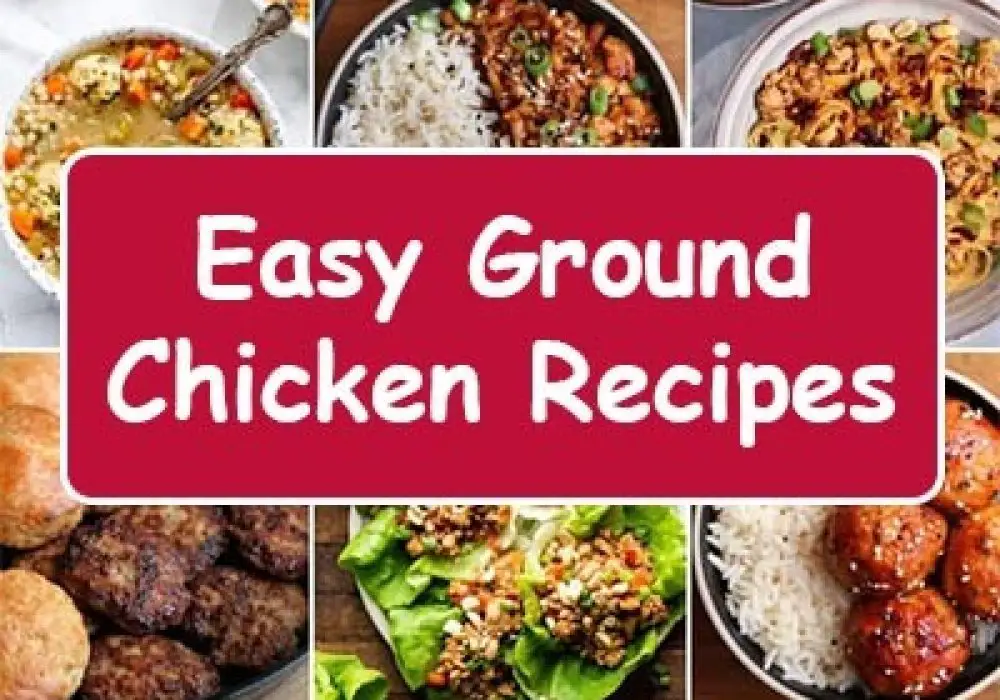 25 Easy Ground Chicken Recipes  Perfect For Any Meal!